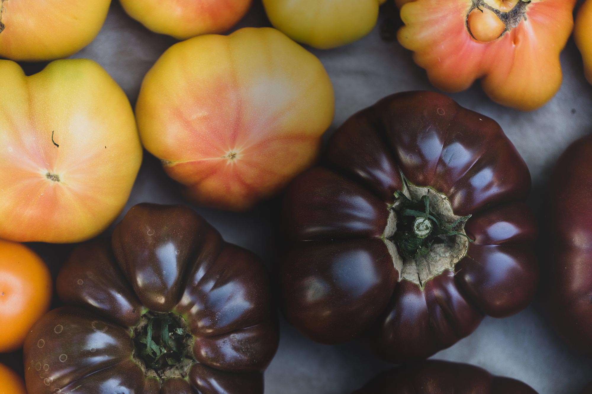 Chez Jeannot photo 4